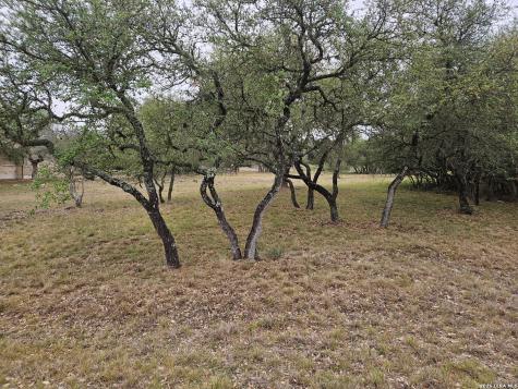 263 Paradise Hills New Braunfels TX 78132