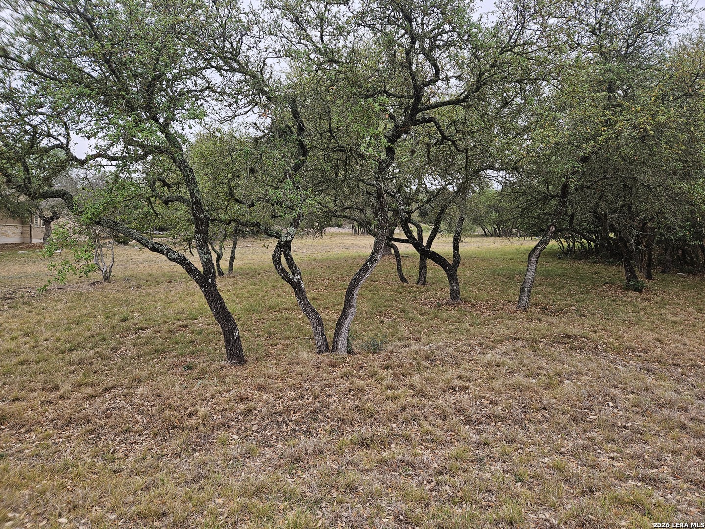 263 Paradise Hills New Braunfels TX 78132