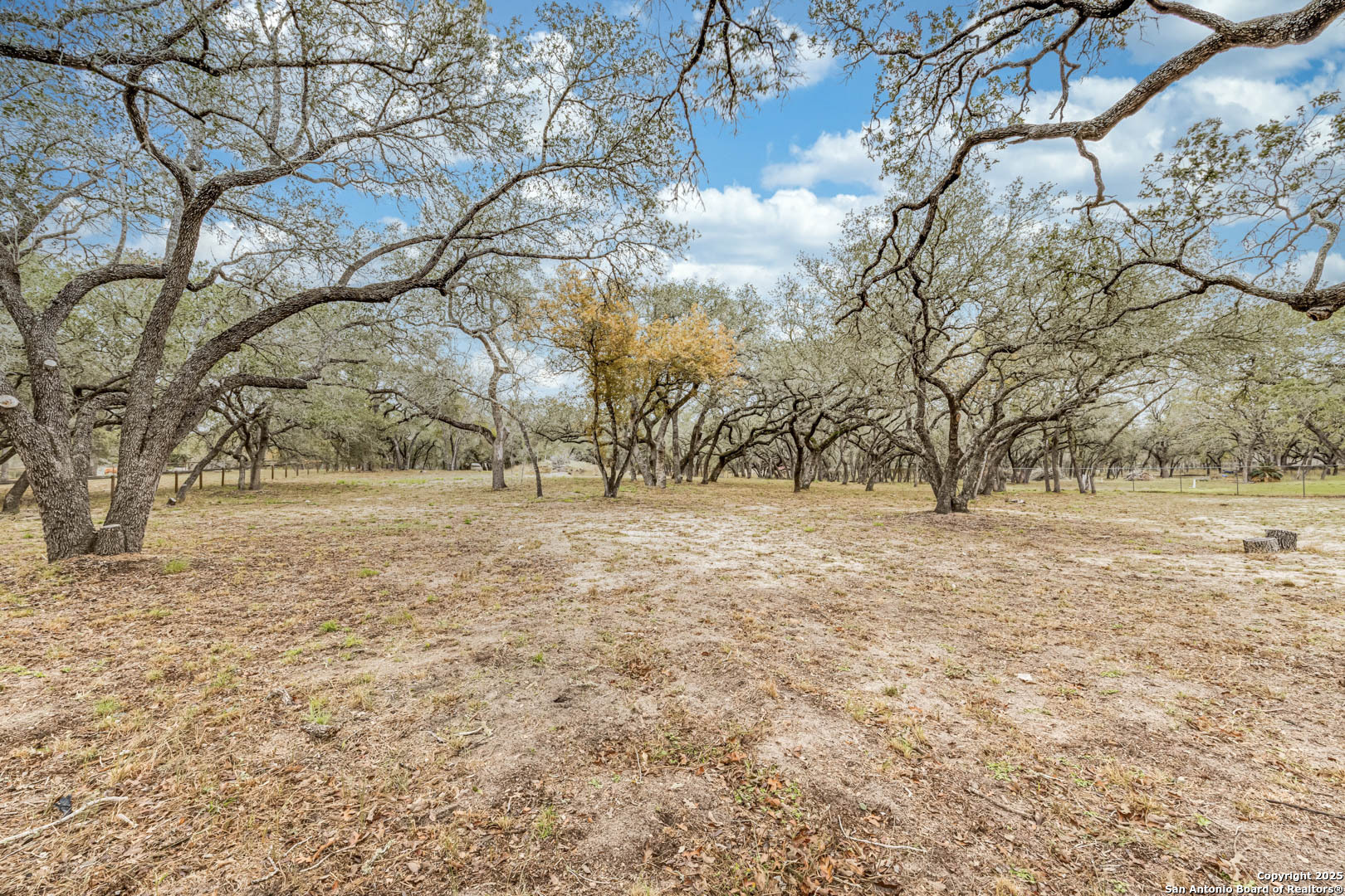 864 Paddy Road Floresville TX 78114