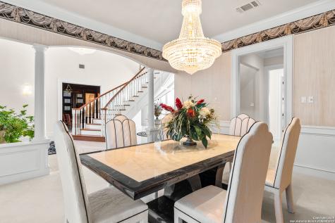 112 Canter Gait Shavano Park TX 78231