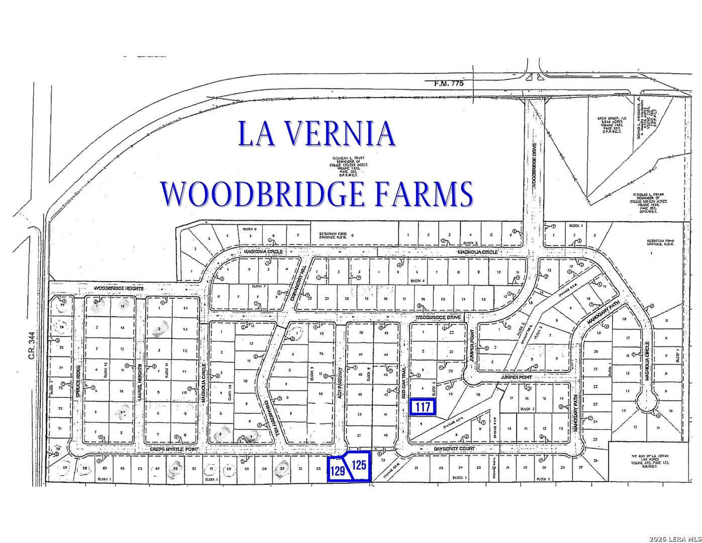 125 Ash Parkway La Vernia TX 78121