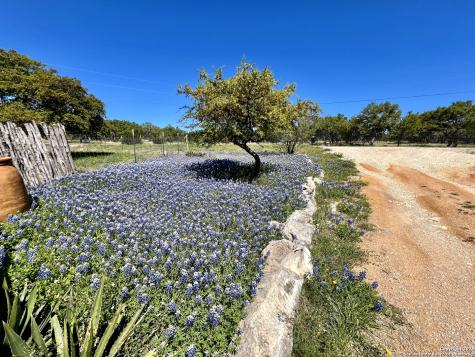 163 Northridge Drive Mountain Home TX 78058
