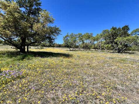 163 Northridge Drive Mountain Home TX 78058