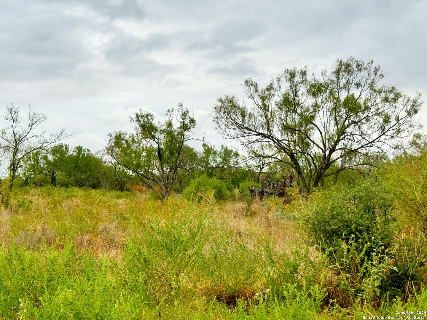 106 Cr 2638 Devine TX 78016