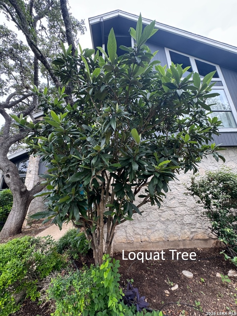 1739 Royal Crescent San Antonio TX 78231
