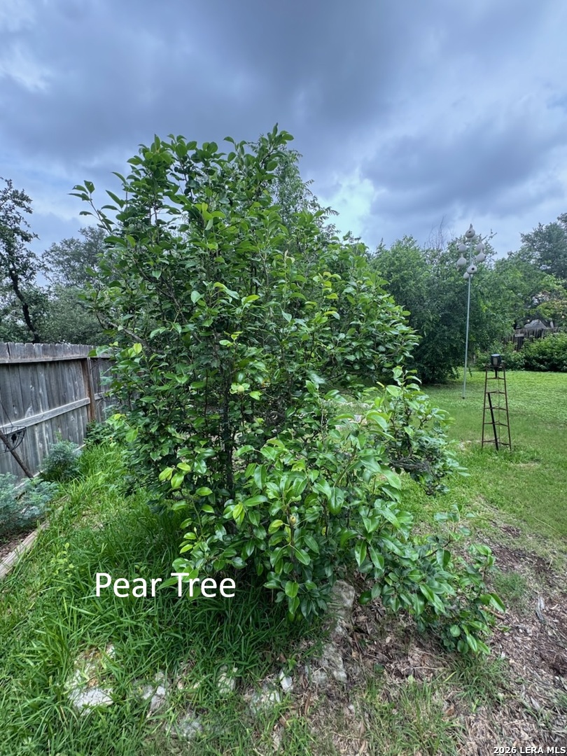1739 Royal Crescent San Antonio TX 78231