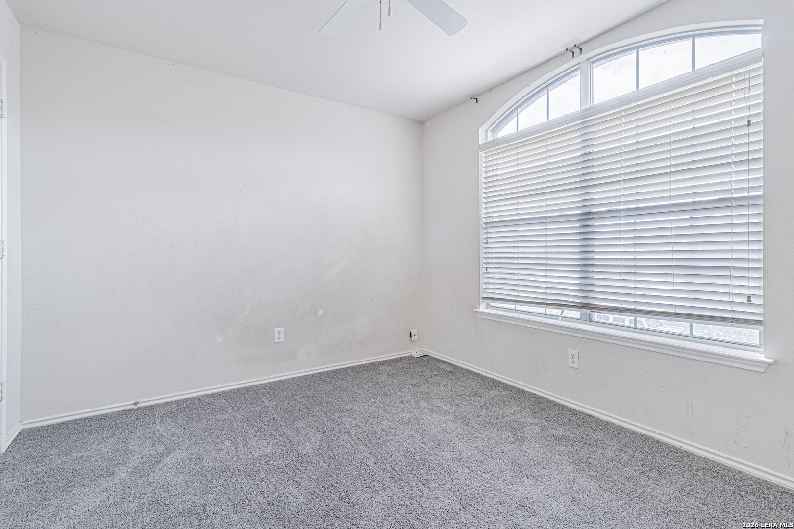 157 Niemietz Cove Cibolo TX 78108