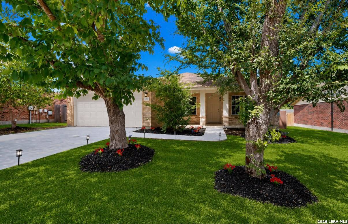 120 Evening Breeze Cibolo TX 78108