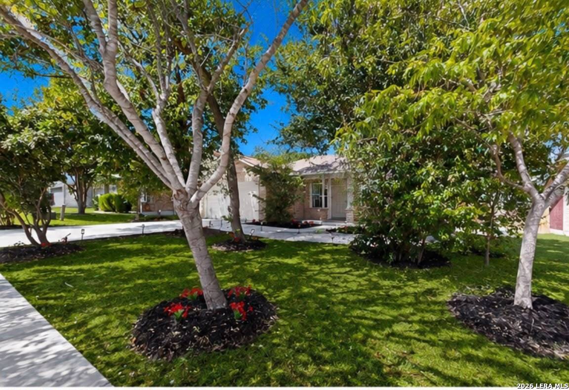 120 Evening Breeze Cibolo TX 78108