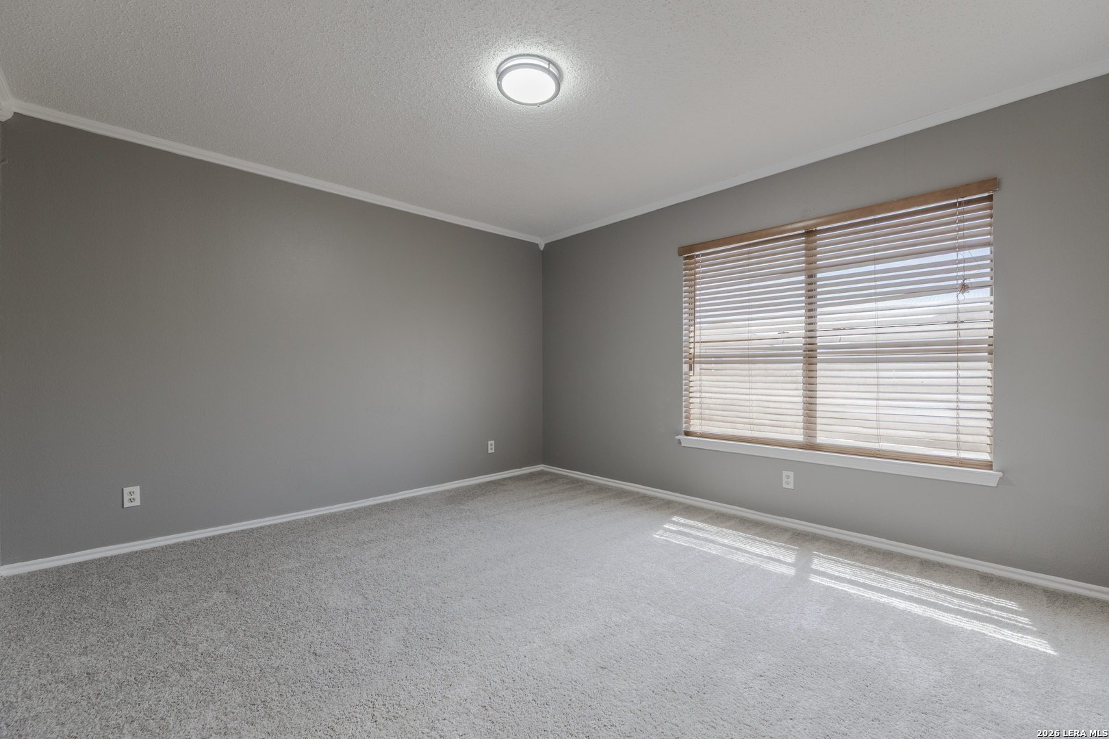 8011 Chestnut Cedar Drive Converse TX 78109