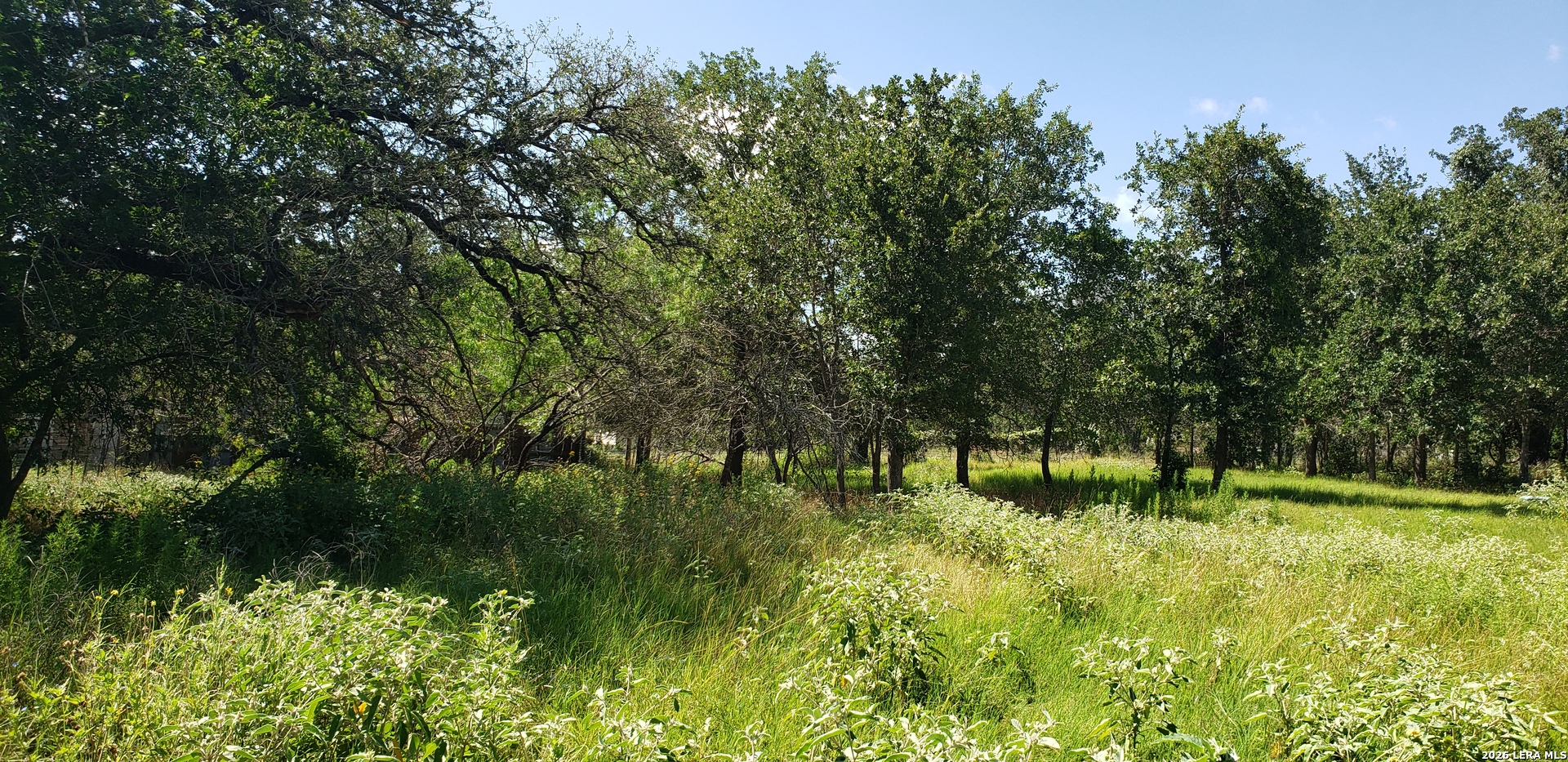 111 Flores Oaks Drive Floresville TX 78114