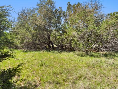 1510 Misty Lane Spring Branch TX 78070
