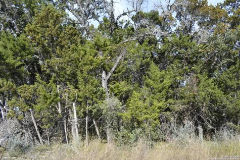 Lot 304 Whartons Dock Bandera TX 78003