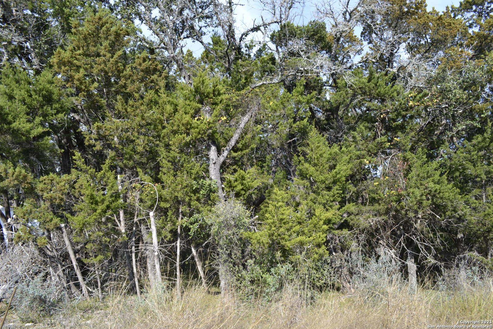 Lot 304 Whartons Dock Bandera TX 78003