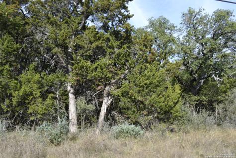 Lot 304 Whartons Dock Bandera TX 78003