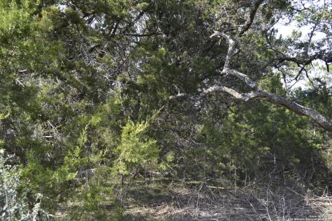Lot 304 Whartons Dock Bandera TX 78003