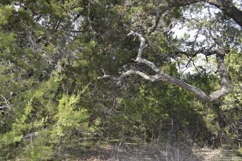 Lot 304 Whartons Dock Bandera TX 78003