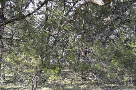 Lot 304 Whartons Dock Bandera TX 78003