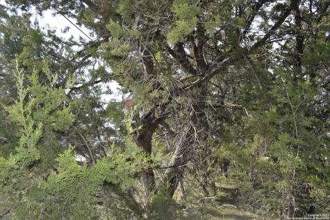 Lot 304 Whartons Dock Bandera TX 78003