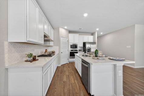 12915 Louberg Valley San Antonio TX 78253