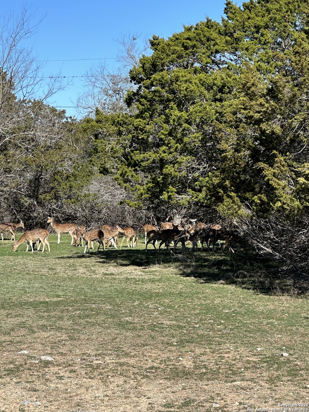 0 Deerwood Circle Bandera TX 78003