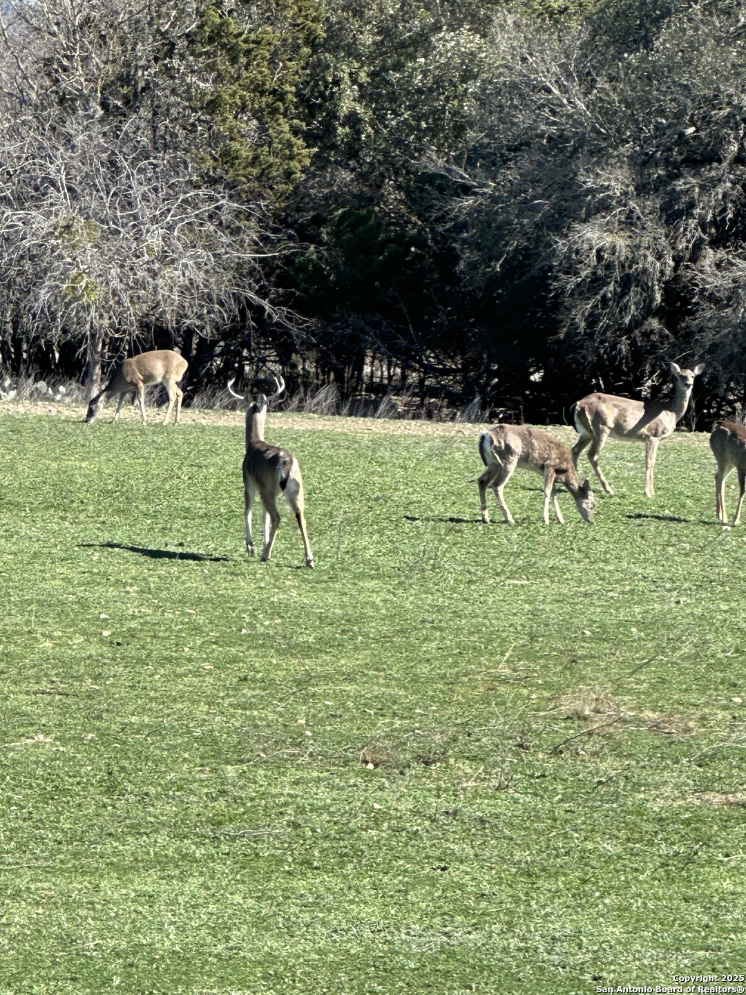 0 Deerwood Circle Bandera TX 78003