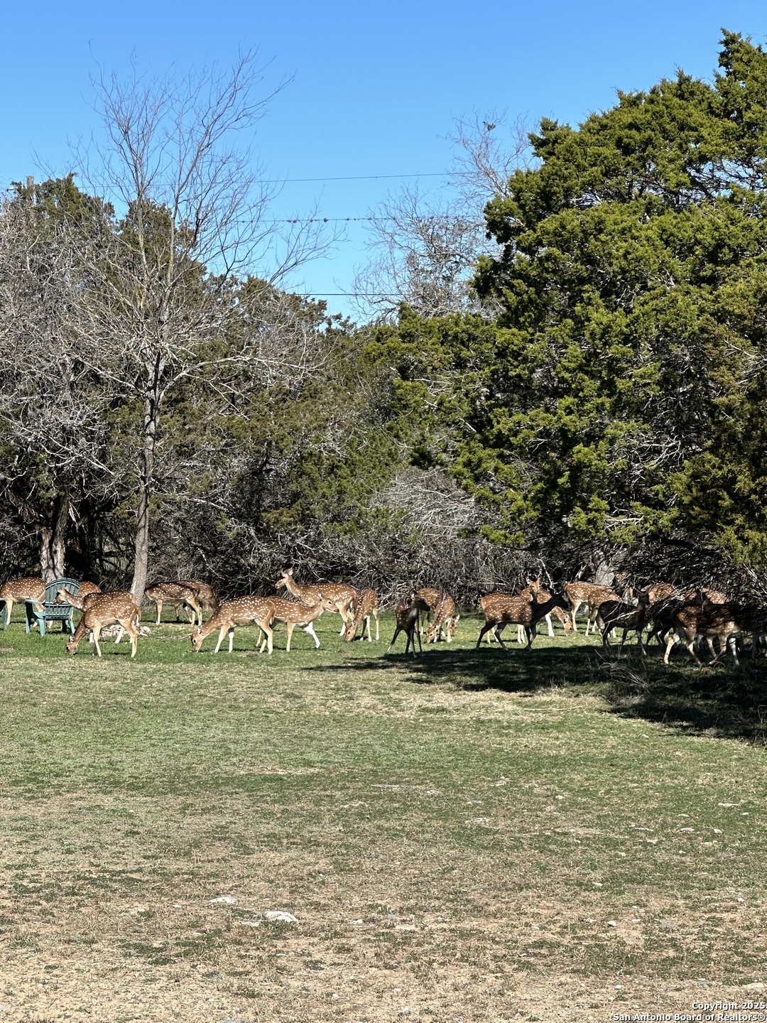 0 Deerwood Circle Bandera TX 78003