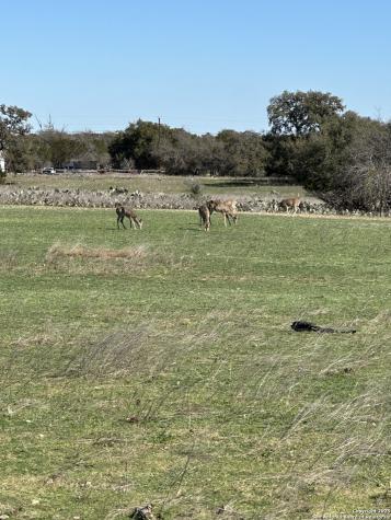 0 Deerwood Circle Bandera TX 78003