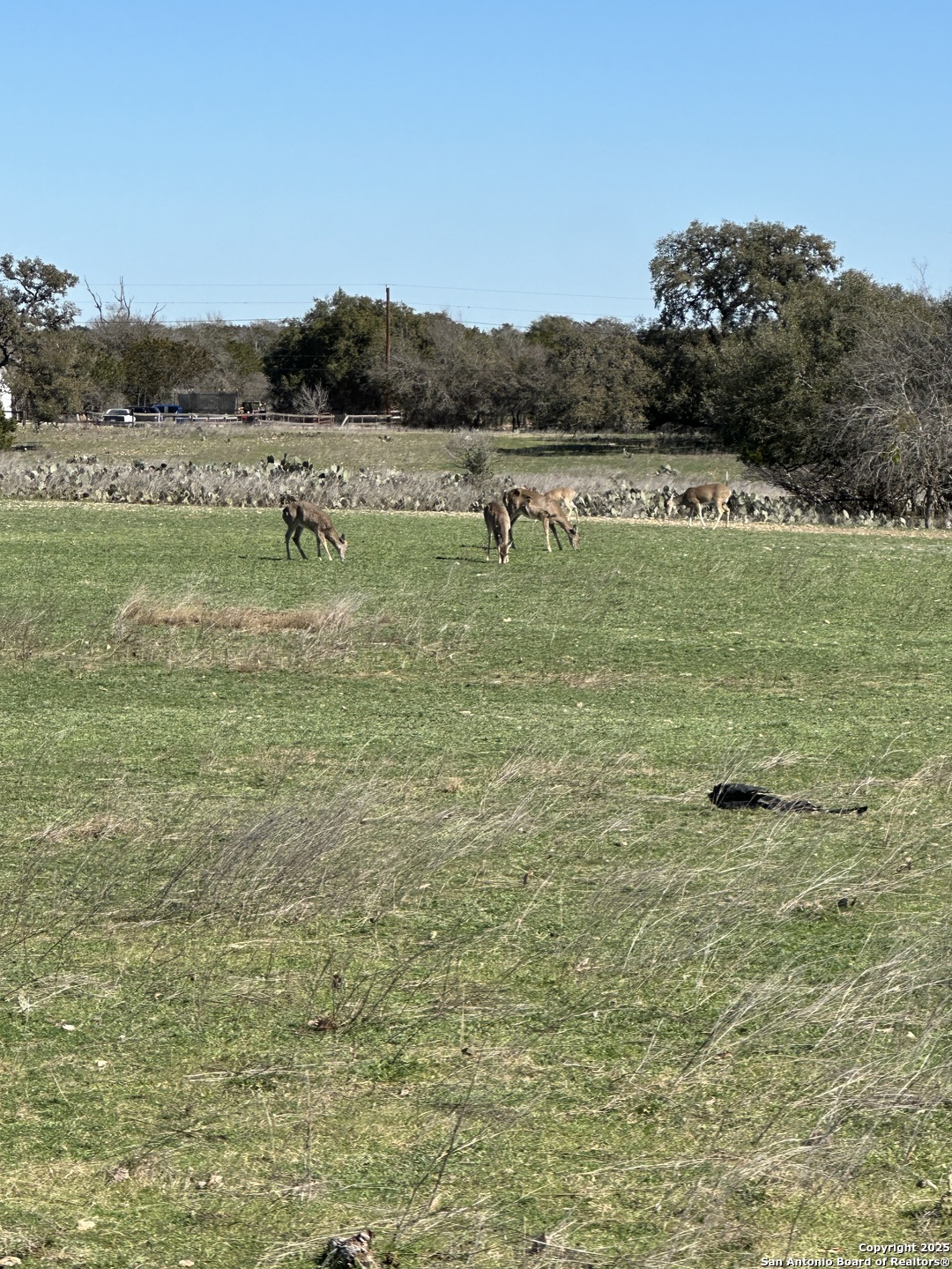 0 Deerwood Circle Bandera TX 78003