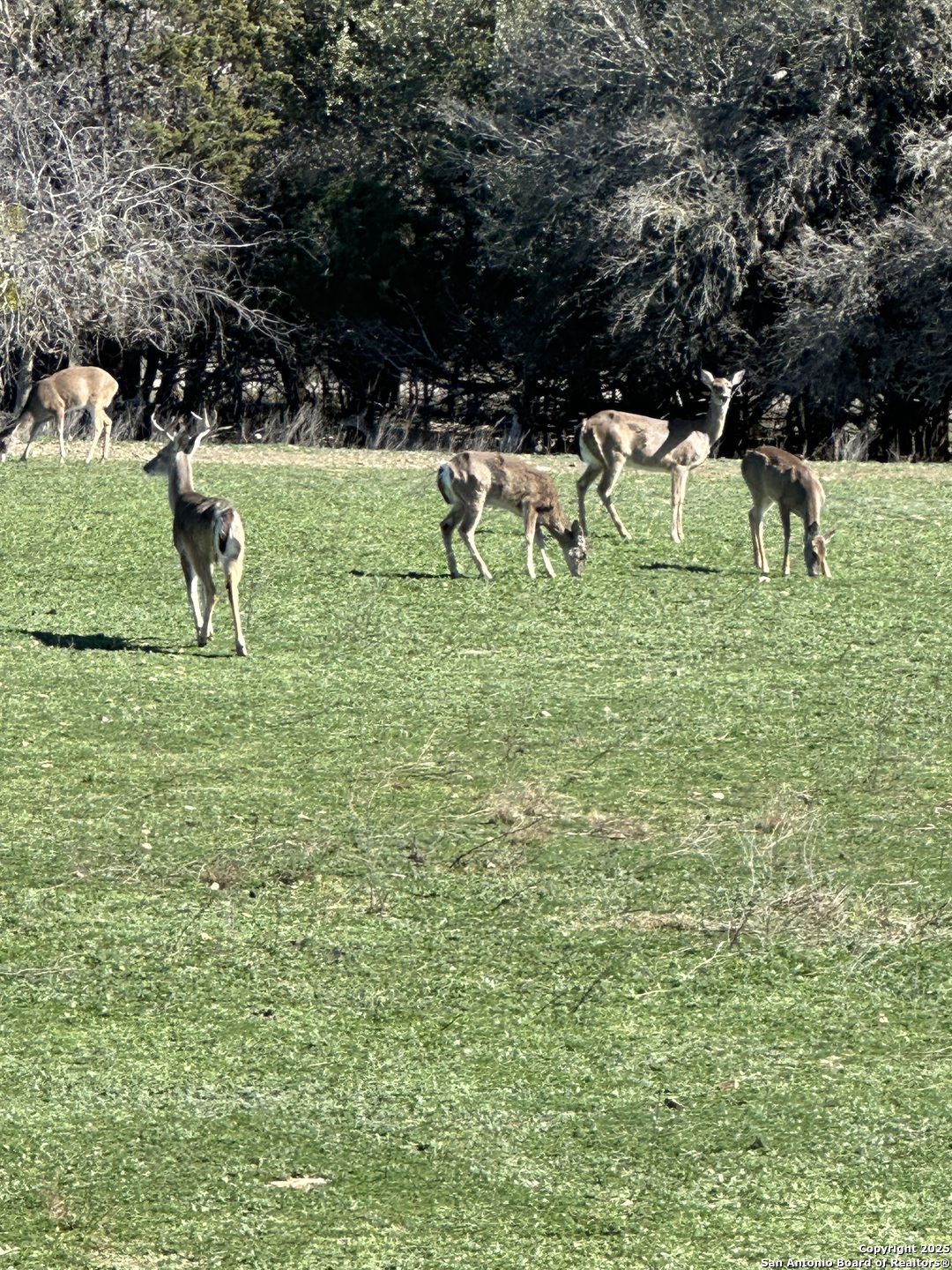 0 Deerwood Circle Bandera TX 78003