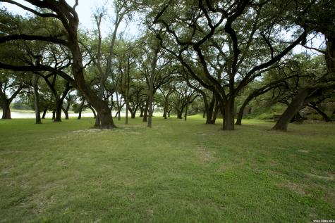 325 River Ridge Spring Branch TX 78070
