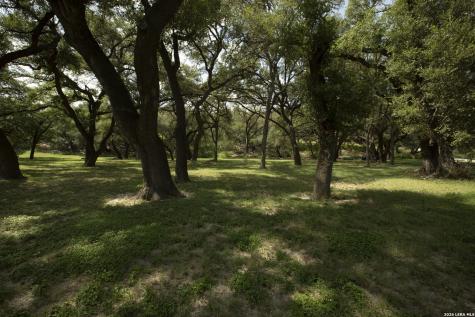 325 River Ridge Spring Branch TX 78070