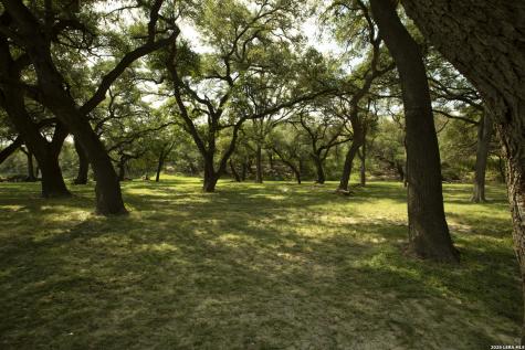 325 River Ridge Spring Branch TX 78070