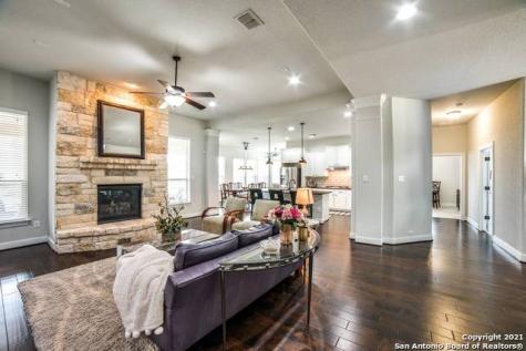 1344 Pinot Grigio New Braunfels TX 78132
