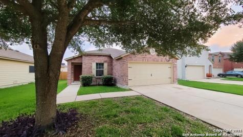 11118 Badger Peak San Antonio TX 78254