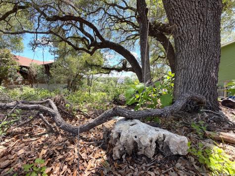 273 Scenic Drive Canyon Lake TX 78133