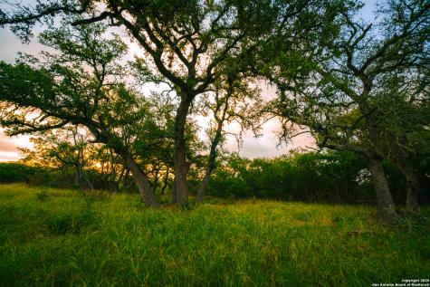 000 Lone Oak Hollow Spring Branch TX 78070
