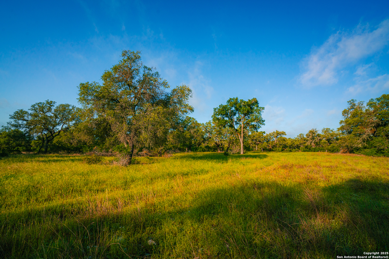 000 Lone Oak Hollow Spring Branch TX 78070