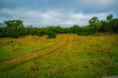 000 Lone Oak Hollow Spring Branch TX 78070
