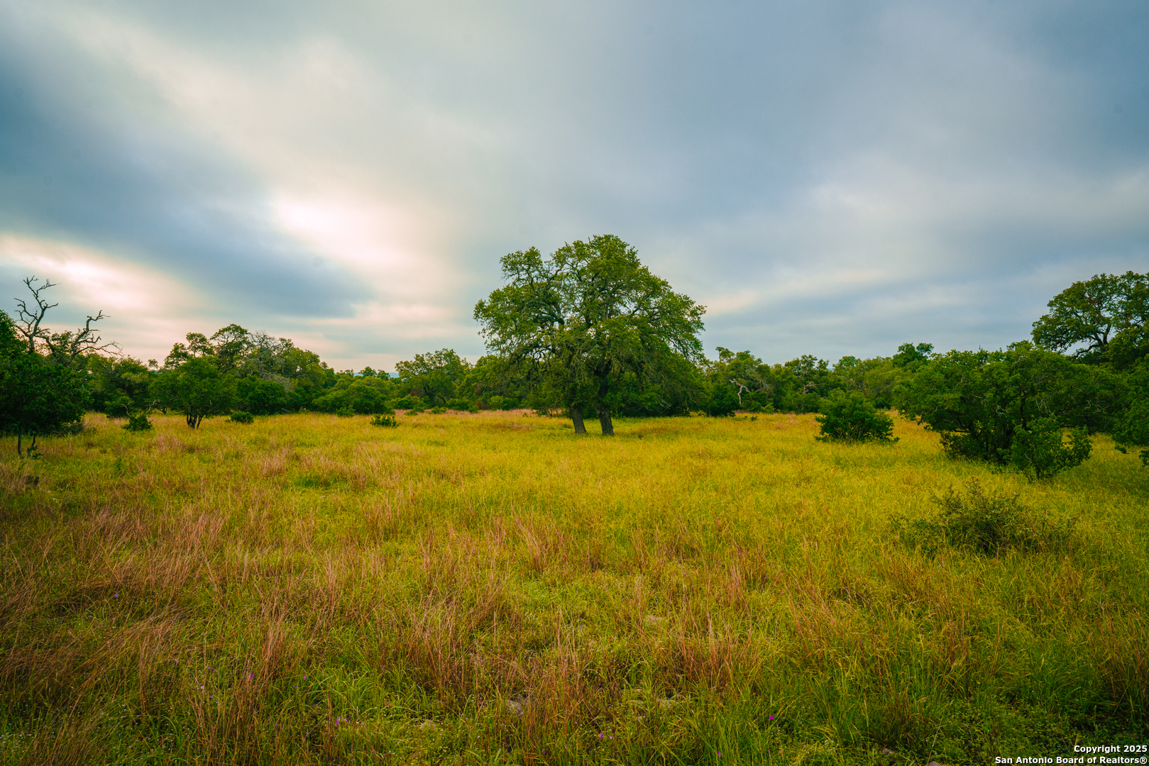 000 Lone Oak Hollow Spring Branch TX 78070