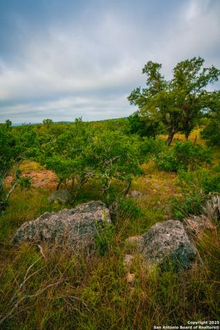 000 Lone Oak Hollow Spring Branch TX 78070