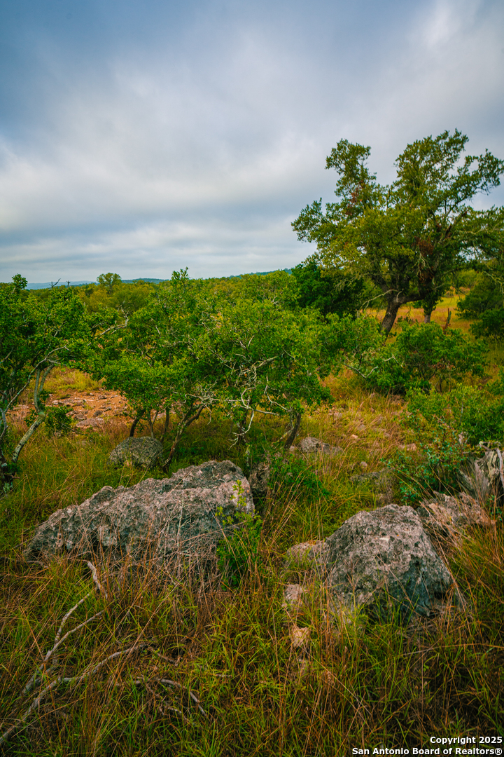 000 Lone Oak Hollow Spring Branch TX 78070