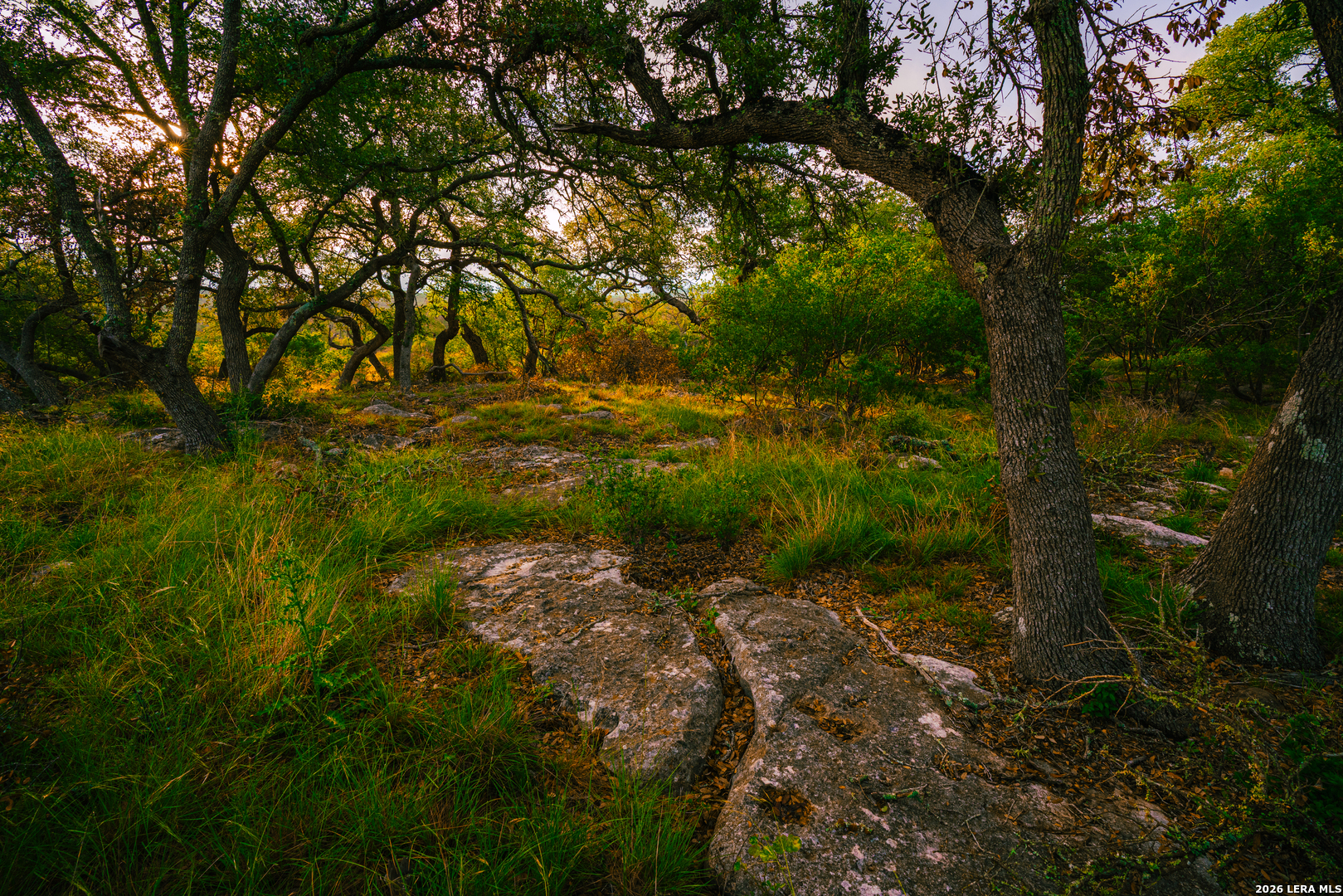 000 Rambling Oaks Ranch Spring Branch TX 78070