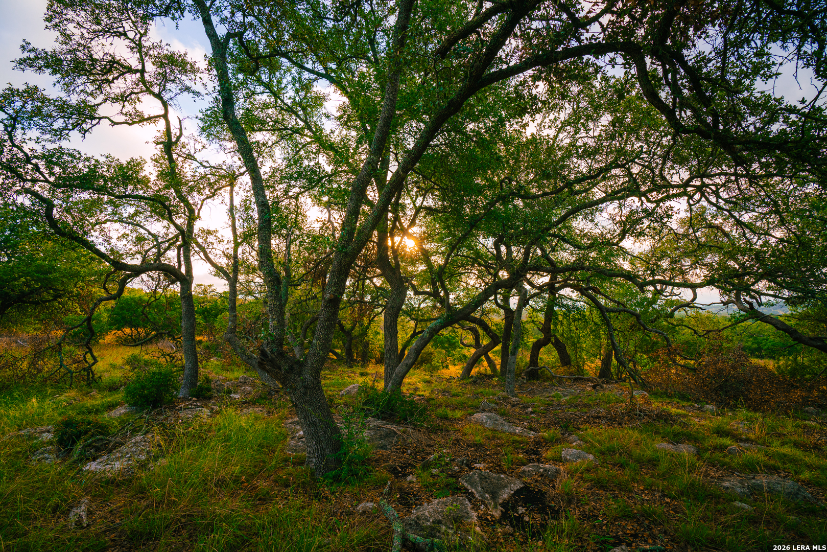 000 Rambling Oaks Ranch Spring Branch TX 78070