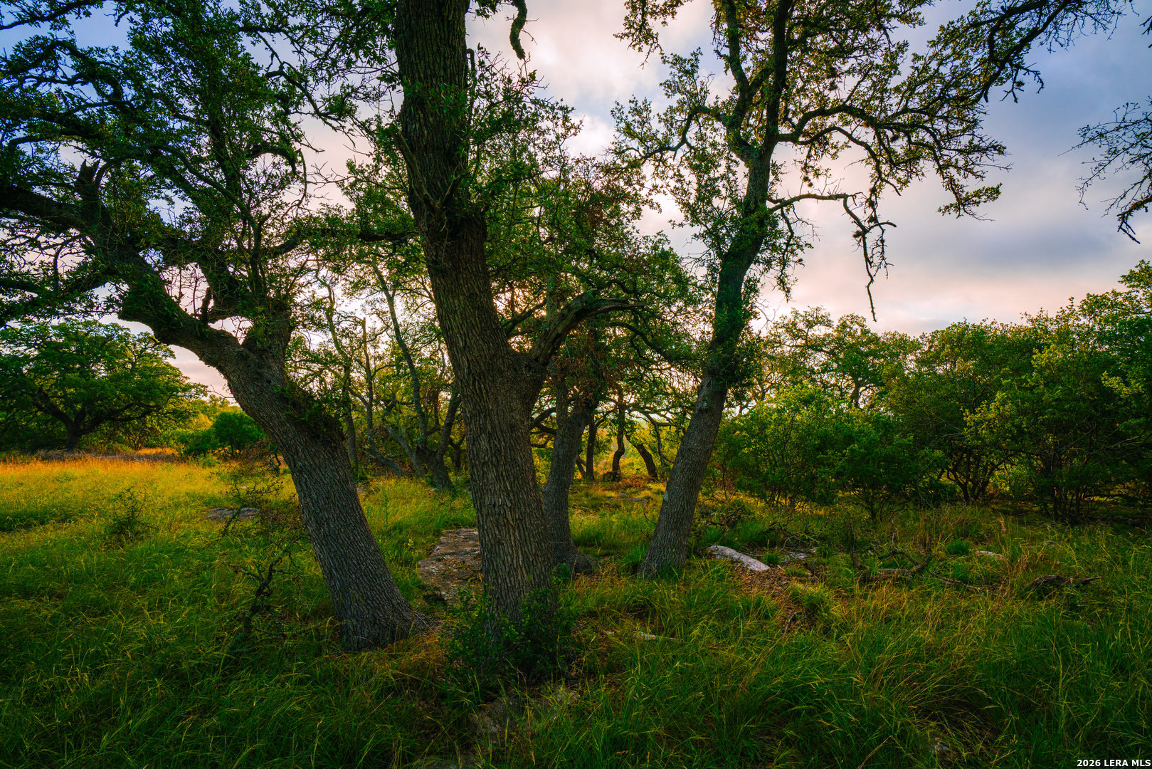 000 Rambling Oaks Ranch Spring Branch TX 78070