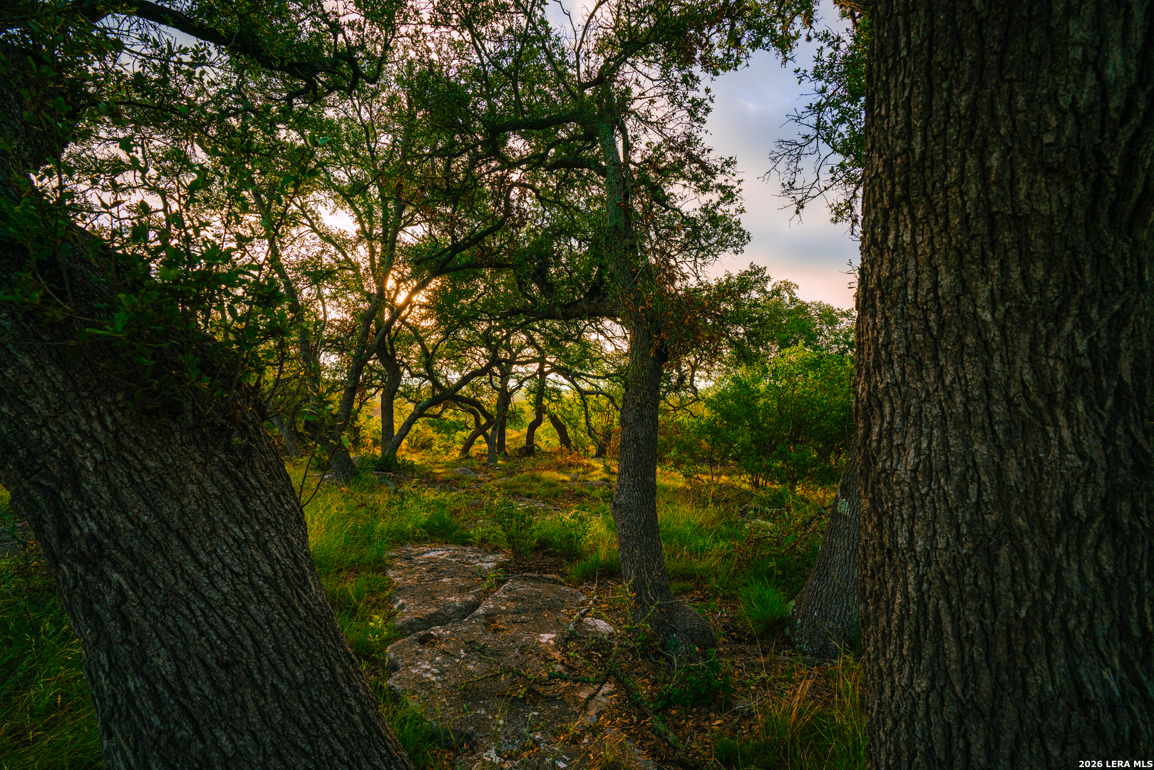 000 Rambling Oaks Ranch Spring Branch TX 78070