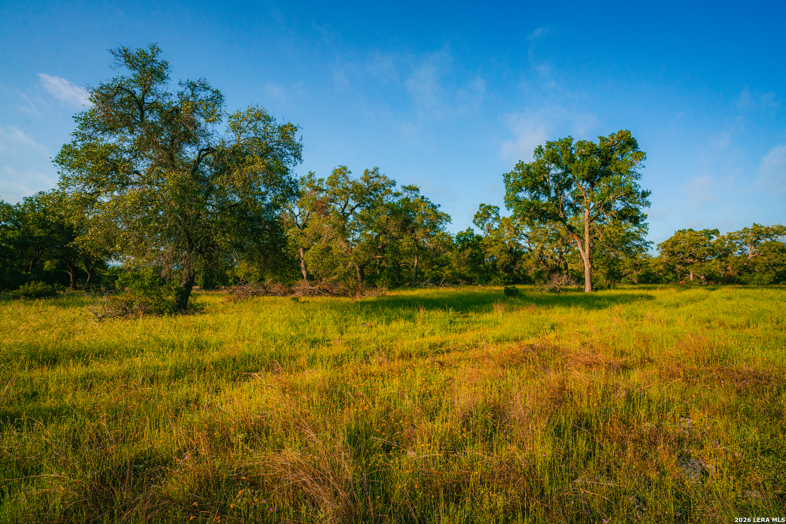 000 Rambling Oaks Ranch Spring Branch TX 78070