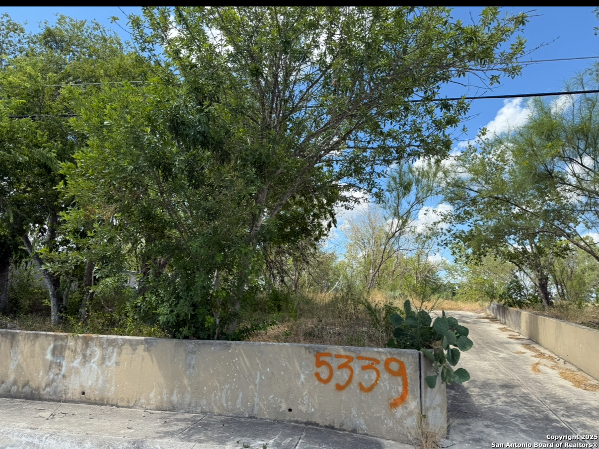 5339 Natho Street San Antonio TX 78222