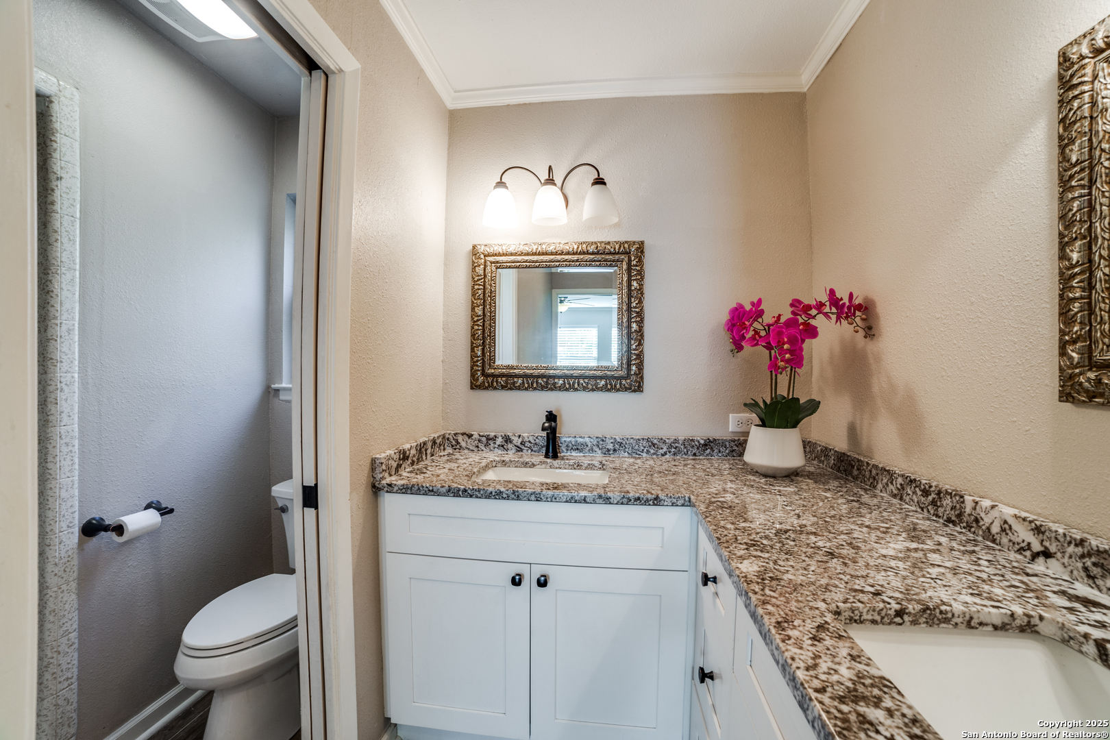 7447 Horse Tail Drive San Antonio TX 78240