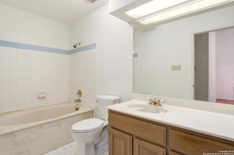 13802 Blenhein Ridge San Antonio TX 78231